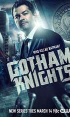 Gotham Knights