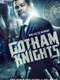 Gotham Knights