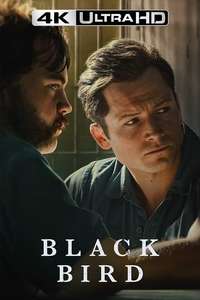 Black Bird - Posters