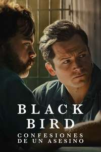Black Bird - Posters