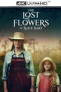 The Lost Flowers of Alice Hart - Posters