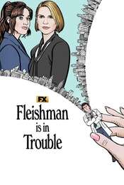 Fleishman Is in Trouble