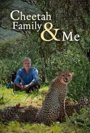 Cheetah Family And Me