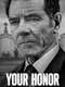 Your Honor : Season 1