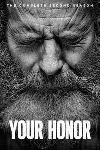 Your Honor - Posters