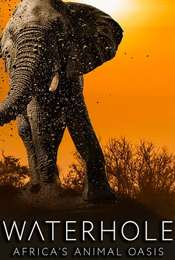 Waterhole: Africa's Animal Oasis
