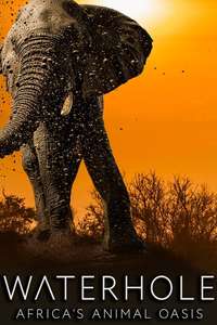 Waterhole: Africa's Animal Oasis - Poster