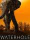 Waterhole: Africa's Animal Oasis