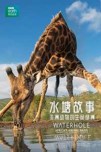 Waterhole: Africa's Animal Oasis - Poster