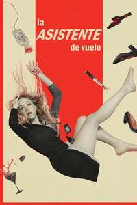 The Flight Attendant - Posters
