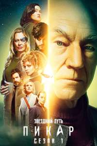 Star Trek: Picard - Posters