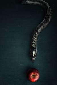 Evil - Posters