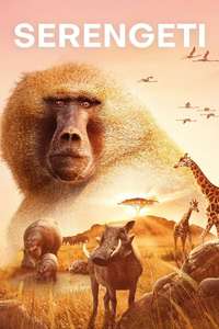 Serengeti - Posters