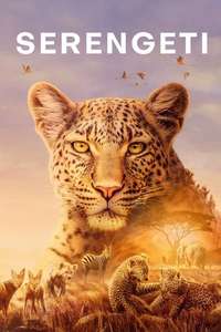 Serengeti - Posters