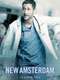 New Amsterdam : Season 1
