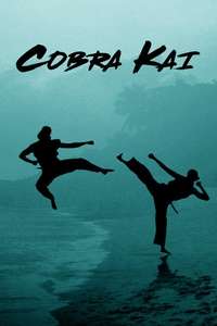 Cobra Kai - Posters
