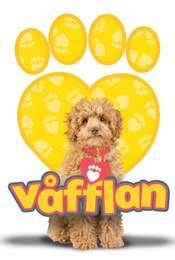 Waffle the Wonder Dog