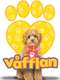 Waffle the Wonder Dog