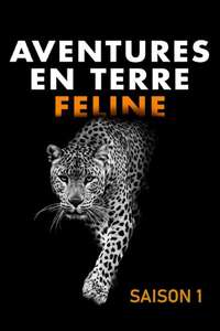 Big Cats - Posters