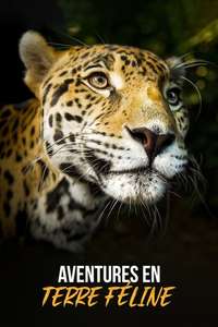 Big Cats - Posters