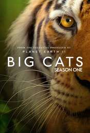 Big Cats Miniseries