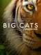 Big Cats : Miniseries