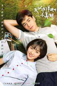 A Love So Beautiful - Posters