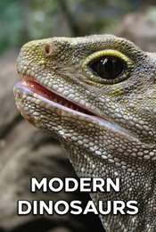 Modern Dinosaurs Season 1
