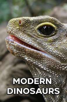 Modern Dinosaurs