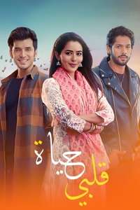 Kundali Bhagya - Posters