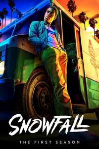 Snowfall - Posters