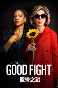 The Good Fight - Posters
