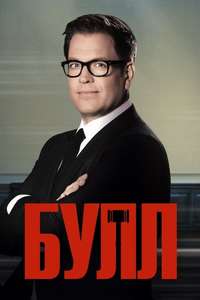 Bull - Posters