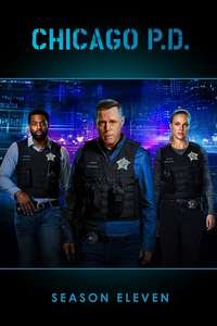 Chicago P.D. - Posters