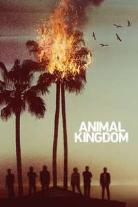 Animal Kingdom - Posters