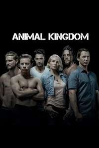 Animal Kingdom - Posters