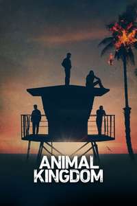 Animal Kingdom - Posters