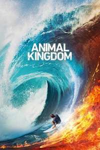Animal Kingdom - Posters
