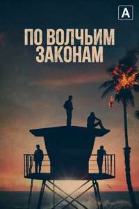 Animal Kingdom - Posters