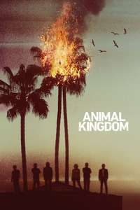 Animal Kingdom - Posters