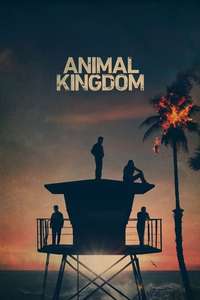 Animal Kingdom - Posters