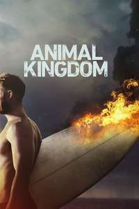Animal Kingdom - Posters