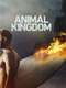 Animal Kingdom