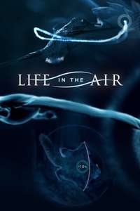 Life in the Air - Poster