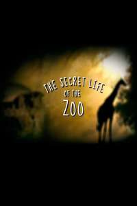 The Secret Life of the Zoo - Posters
