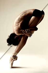 Flesh and Bone - Posters