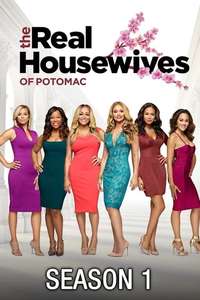 The Real Housewives of Potomac - Poster