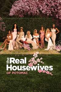 The Real Housewives of Potomac - Poster