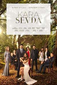 Endless Love - Posters