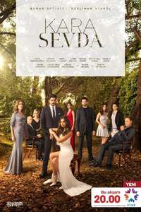 Endless Love - Posters